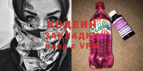 apvp Краснослободск