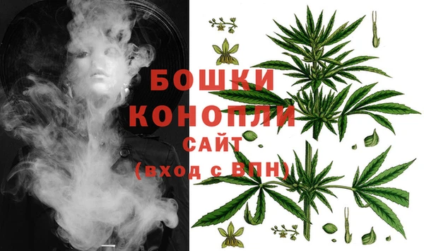 apvp Краснослободск