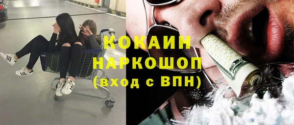 apvp Краснослободск