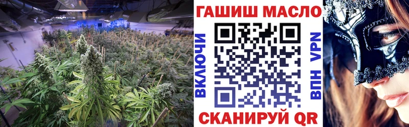 Купить где  Сарапул  ТГК гашишное масло 